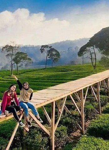 Puncak Bogor: Destinasi Pilihan Utama Liburan Akhir Tahun bagi Warga Jakarta