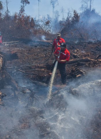 Kondisi Lebih Sejuk di Akhir Pekan Beri Ketenangan Sementara bagi Pemadam Kebakaran di Grampians
