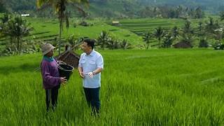 Peluncuran GERINA: Presiden Menghargai Keterlibatan Aktif dalam Mewujudkan Ketahanan Pangan Nasional