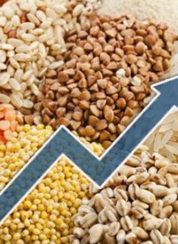 Harga Bahan Pangan Melonjak Selama Lebaran 2025: Tantangan dan Prediksi