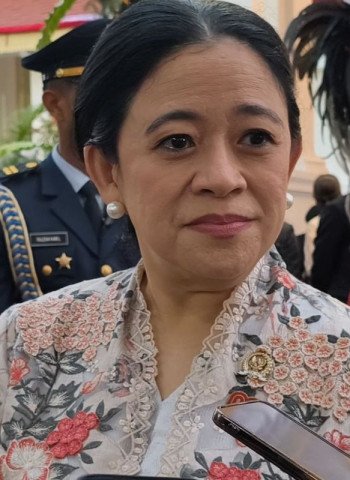 Balita 3 Tahun Meninggal Akibat Cacingan Akut, Puan Maharani Minta Pemda dan Posyandu Lebih Proaktif