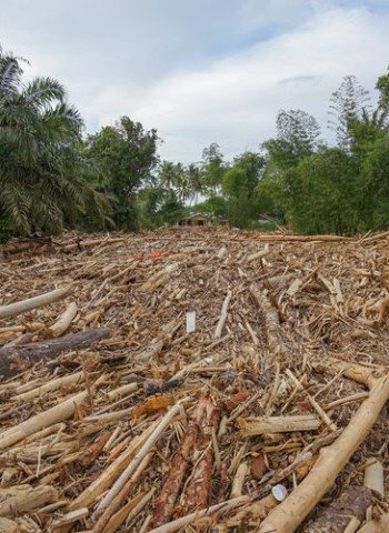 Ketidakpekaan Kepala Daerah Saat Rakyat Tertimpa Musibah: Sebuah Tinjauan Kritis