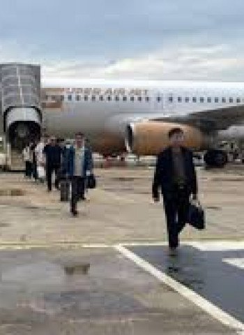 Penangkapan WN China Penyelundup Nikel: Mengungkap Celah Keamanan Bandara PT IWIP