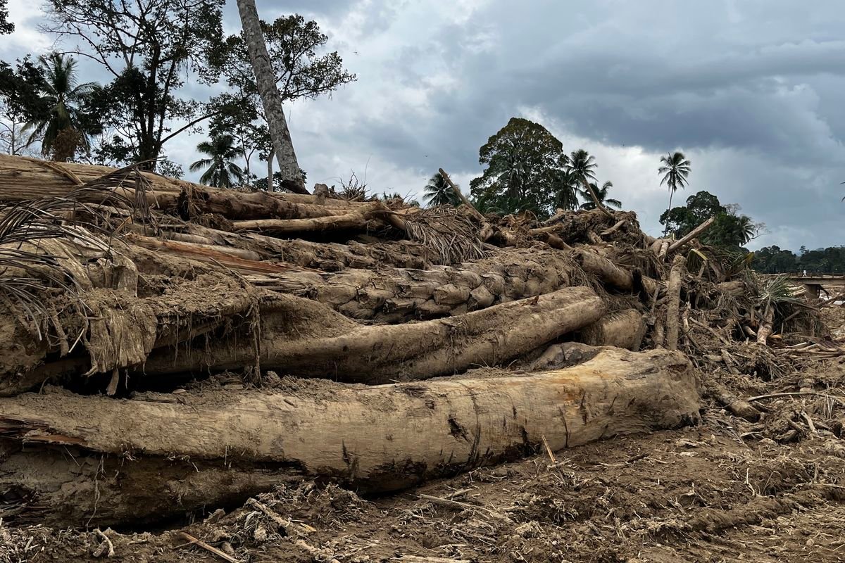 Bareskrim Tingkatkan Status Temuan Kayu Gelondongan Banjir Tapsel ke Penyidikan