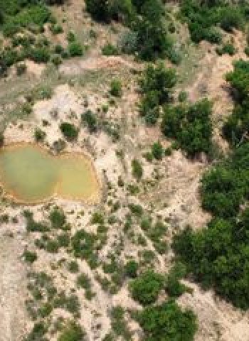 Menguras Hutan dan Pembangunan: Ironi Kebijakan Lingkungan