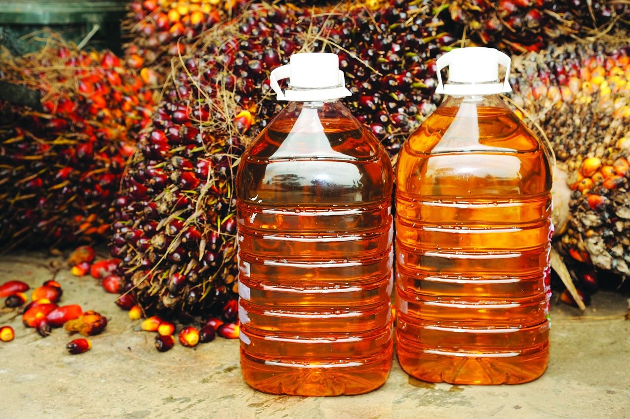Perubahan Dinamika Pasar Minyak Nabati India: Minyak Sawit Kehilangan Dominasi