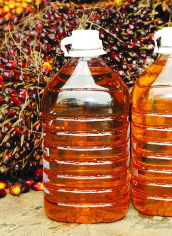 Perubahan Dinamika Pasar Minyak Nabati India: Minyak Sawit Kehilangan Dominasi