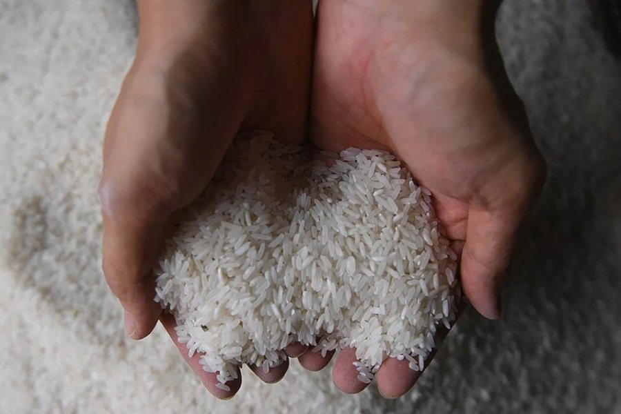 Keadaan Darurat Keamanan Pangan di Filipina: Upaya Menekan Harga Beras yang Melonjak