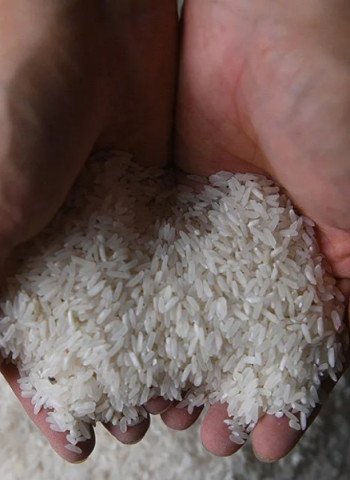 Keadaan Darurat Keamanan Pangan di Filipina: Upaya Menekan Harga Beras yang Melonjak