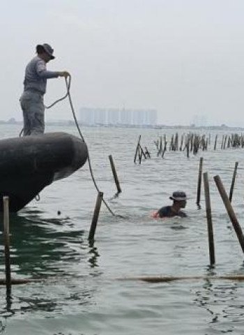 Polemik Pagar Laut di Tangerang: Kades Kohod Jadi Sorotan Publik
