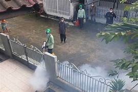 Pemberantasan Sarang Nyamuk di Jakarta Pusat: Upaya Efektif Cegah Lonjakan Kasus DBD