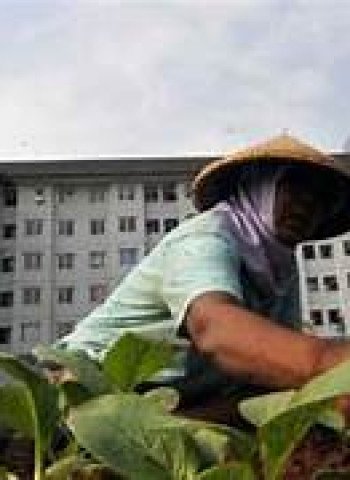 Harapan Warga Tetap Hidup Meski Pemprov Tegaskan Rusun Tak Bisa Selamanya