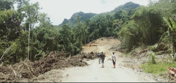 Warga Maluku Bakar Perusahaan Tambang: Konflik Segel Adat yang Memanas