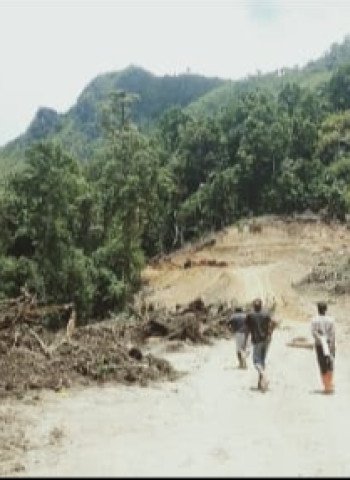 Warga Maluku Bakar Perusahaan Tambang: Konflik Segel Adat yang Memanas