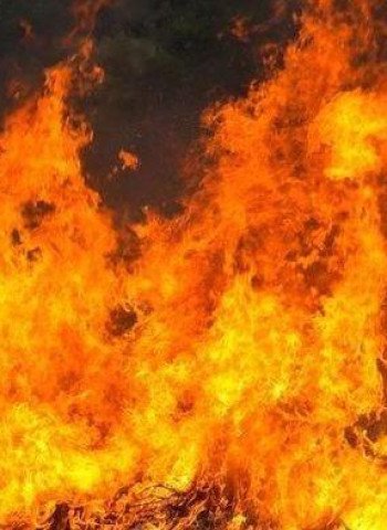 Kebakaran Besar di Los Angeles: Ancaman bagi Perusahaan Manajemen Aset