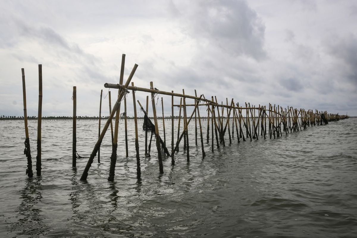 Pembongkaran Pagar Laut di Tangerang: Nelayan Bersorak Gembira