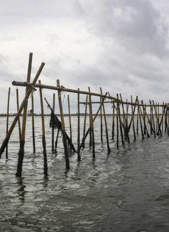 Pembongkaran Pagar Laut di Tangerang: Nelayan Bersorak Gembira