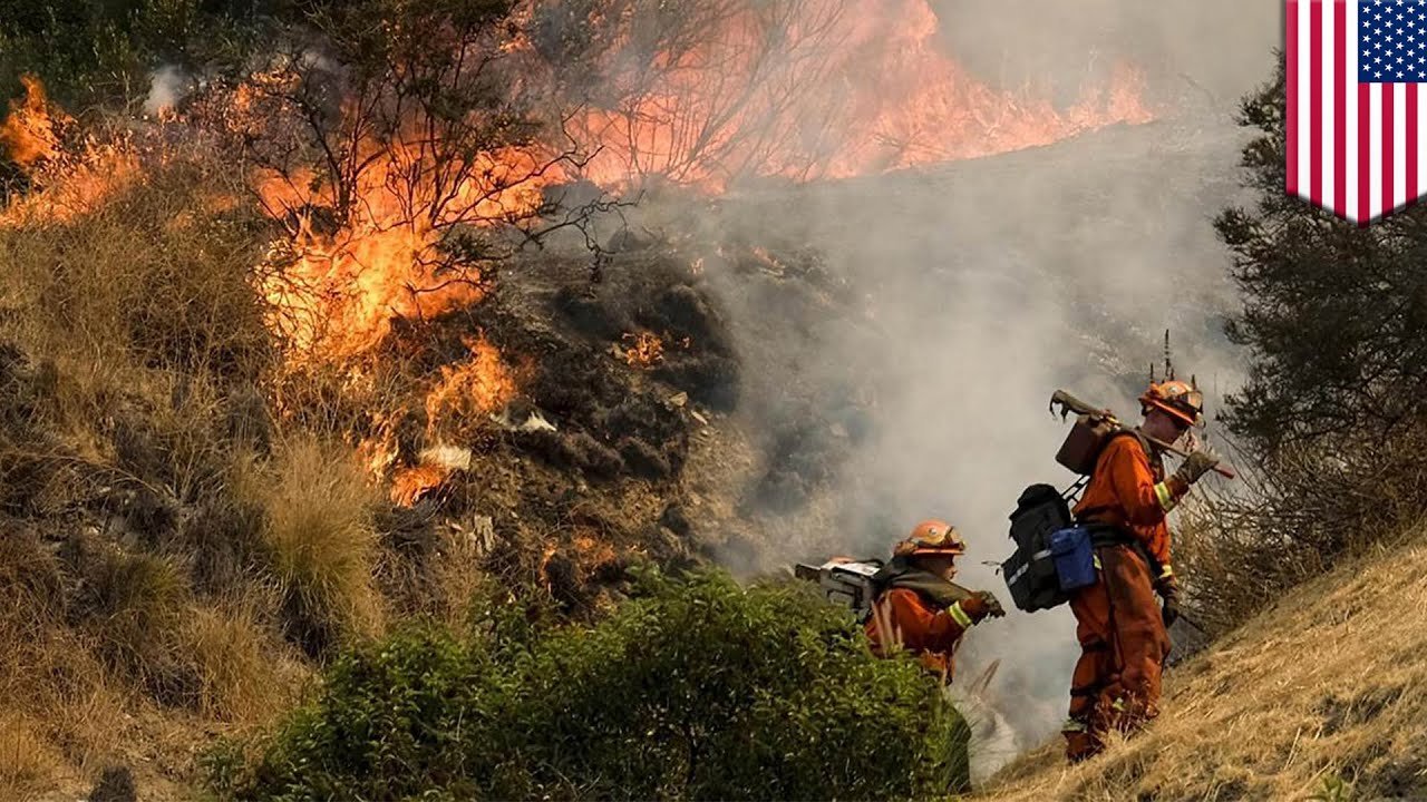 Kebakaran Hebat di Los Angeles: Bencana Alam Terburuk dalam Sejarah AS