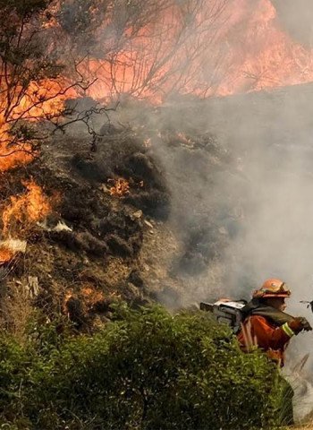 Kebakaran Hebat di Los Angeles: Bencana Alam Terburuk dalam Sejarah AS