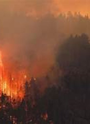 Kebakaran Hebat di Los Angeles: Misteri Penyebab dan Penyelidikan yang Berlanjut