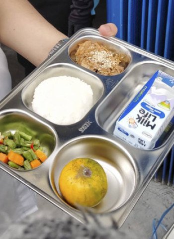 Inovasi Menu Makan Bergizi Gratis: Serangga Sebagai Sumber Protein Alternatif