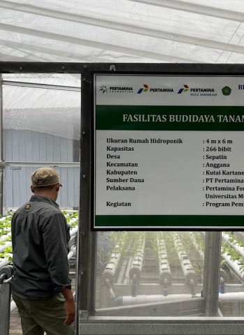Sebar harapan lewat 12 juta mangrove Pertamina jaga kelestarian lingkungan