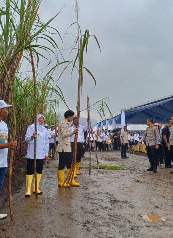 Gibran Percaya Capaian Kemandirian Gula 2027 Bukti Komitmen Pemerintah
