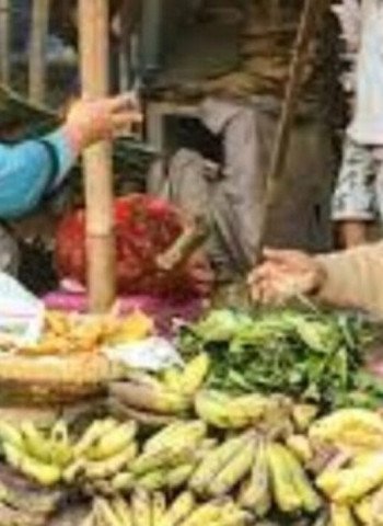 Kesejahteraan UMKM: Pilar Utama Ekonomi Daerah dan Nasional