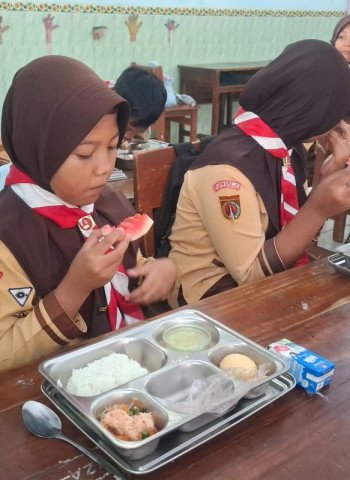 BGN Tingkatkan Kandungan Susu MBG: Dorong Produksi Susu Segar