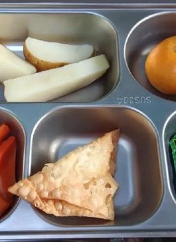 Viral Kentang dan Pangsit MBG: Kepala BGN Tekankan Pentingnya Perbaikan Standar Gizi