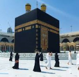 Umrah Mandiri Legal: Pentingnya Aturan Jelas dan Dampaknya pada Usaha Travel