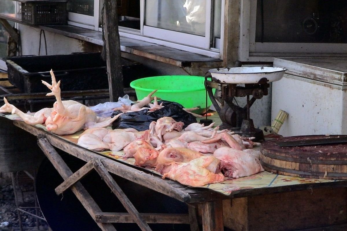 Logika Sesat di Balik Kenaikan Harga Ayam dan Program MBG