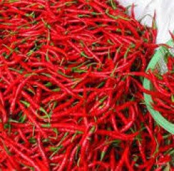 Pramono Sebut Harga Cabai Keriting di Jakarta Bakal Stabil dalam Waktu Dekat