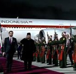 Sambutan Istimewa di Langit Amman: Jet Tempur F-16 Yordania Kawal Kedatangan Presiden Prabowo
