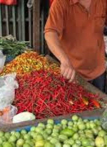 Pramono Ungkap Penurunan Harga Cabai di Jakarta Terjadi Secara Alami