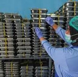 Wakil Kepala BGN Bantah Isu Pembagian Makan Bergizi Gratis pada Waktu Sahur