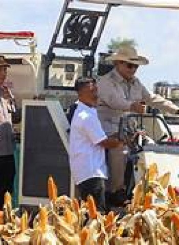 Panen Raya di Karawang: Prabowo Subianto Cicipi Produk Hilirisasi Pertanian