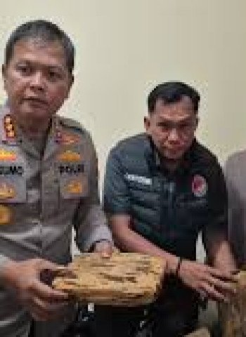 Samarkan Aroma dengan Bubuk Kopi, Bandar Ganja di Bekasi Kelabui Orang Tua dan Polisi