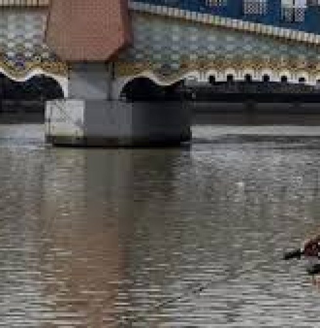 Kondisi Sungai Cisadane Membaik, Warga Mulai Ramai Kembali Memancing