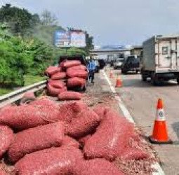 Tabrakan Innova dan Pikap di Tol Jagorawi, Muatan Sayur Tumpah Ruah di Jalanan